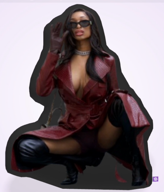 “Silhouette Siren” Pillow Collection